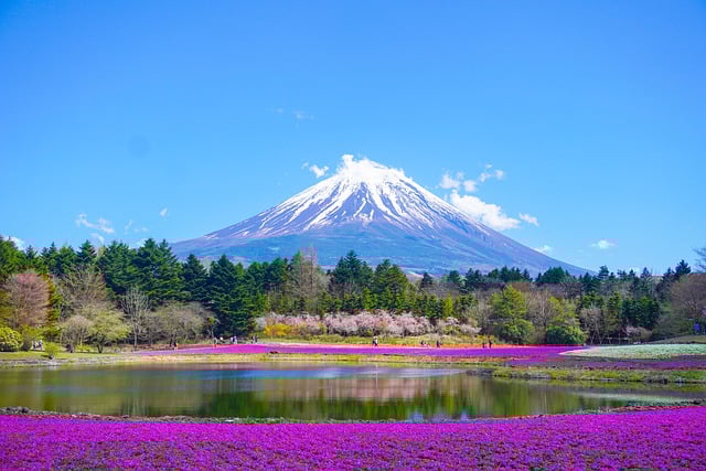 Best time to travel Japan: The Ultimate Guide for Every Traveler